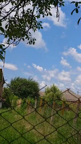 A chain link fence in the foreground separates the viewer from a rural scene under a blue sky with white clouds. Behind the fence, tall green grass and bushes grow. A low-lying building with a tiled roof is visible in the middle ground, partially obscured by vegetation. The branches of a leafy tree frame the top of the shot. The camera is static.