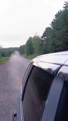 A view from a vehicle driving down a gravel road. The sun is setting, casting a warm glow on the clouds and trees lining the road. The vehicle is moving at a moderate speed, kicking up dust from the road. The trees are dense and green, creating a tunnel effect as the road continues into the distance. The sky is filled with a mix of orange, pink, and purple hues, indicating a beautiful sunset.