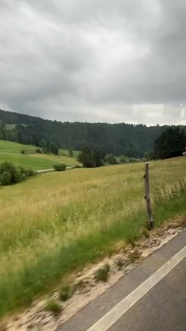 A side-view video captures a passing landscape from a moving vehicle. The foreground shows a blurred dirt and gravel road or shoulder, with a white line painted on the right edge, suggesting a paved road is just beyond. Green grass and foliage are also blurred in the foreground, indicating motion. The mid-ground features a wide, golden-yellow field of grass or crops, with some areas of darker green. A thin, dark wooden post stands in the middle of the field. In the distance, a rolling hill covered in dense green trees forms the background. A small, white house with a reddish roof is partially visible among the trees on the right side. The sky is overcast with heavy, gray clouds. The overall impression is a rural, possibly European landscape under a cloudy day.
