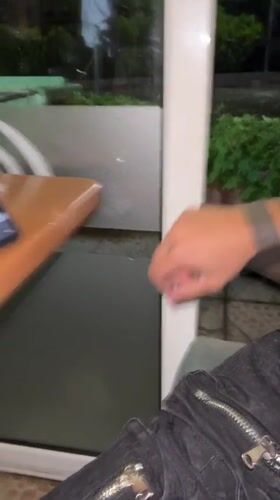 Curious cat watches cafe patrons through window in Bulgaria
