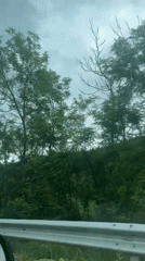 Driving through wooded area near Ablanitsa, Bulgaria