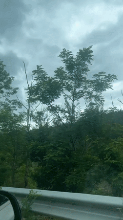 Driving through wooded area near Ablanitsa, Bulgaria