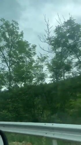 Driving through wooded area near Ablanitsa, Bulgaria