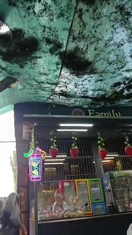 The video shows an outdoor scene, likely a market or a street food vendor. The camera pans upwards to reveal a makeshift canopy, possibly made of tarpaulin, with a textured, patterned surface, creating a mottled effect of light and shadow. Hanging from the canopy are strings of decorative red objects, resembling strawberries or lanterns, and also some neon signs depicting a drink with a straw and ice cream cones.

Beneath the canopy, there appears to be a food stall or shopfront with a display of goods, possibly fruits or food items, visible through glass. Several people are seen moving around and interacting within the space. One person is dressed in a light-colored traditional garment, while others are wearing more casual clothing. The atmosphere seems to be that of a bustling public area.

There's a visible sign on the shopfront that reads "Family". The overall impression is that of a lively commercial setting, possibly in a warm climate given the outdoor nature and apparent foliage in the background. The time of day appears to be daytime, with natural light illuminating the scene. The scene conveys a sense of everyday activity and commerce in a community setting.