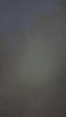 This is a short, vertically oriented video clip. The footage appears to be taken at night or in very low light conditions, with a flashlight beam illuminating portions of the scene. The background is dark and indistinct, with the suggestion of trees or dense foliage silhouetted against a darker sky. The flashlight beam creates areas of brighter light and shadow, highlighting some vegetation, possibly grass or low-lying plants, in the foreground. The overall impression is one of movement through a dimly lit, natural environment. The camera is in motion, creating a slight blur in the image. There are no people or distinct objects visible other than the natural environment and the light source.
