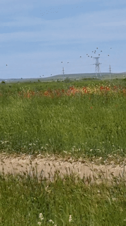 Spring Farming Activity Documented in Ukrainian Fields Near Blizhnee