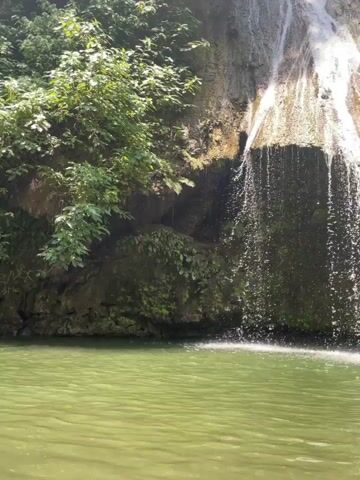 A vertical video captures a natural waterfall cascading into a green pool of water in Guanta, Venezuela. The waterfall flows over a textured, light brown rock face, with visible streaks of white water and dark green moss in some areas. Distinct circular indentations are present on the upper right side of the rock face, likely formed by water erosion. Lush green foliage frames the left side of the waterfall, suggesting a verdant natural environment. The water in the pool below is a murky green color, reflecting the surrounding nature. Splashes are visible where the water hits the surface of the pool. The scene is brightly lit, indicating daytime. The dominant sound is the continuous rush of falling water. No people or text are visible in the video.