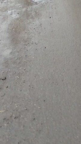 The camera moves along a wet, gray asphalt road. There are patches of standing water in potholes and on the road surface. There are bits of gravel, dirt, and small pieces of debris scattered across the asphalt.