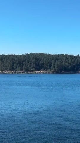 The video shows a wide shot of a body of water with a dense, green forest in the background. As the video progresses, the camera zooms in on the shoreline where several tents are visible amongst the trees and rocks. The tents are of various colors, including blue and orange. There appear to be a few people walking around the campsite. The overall environment is natural and appears to be a recreational area or a remote settlement. The sky is clear and blue.