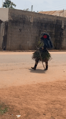 Traditional masquerade performer, palm fruit sorting observed in Akwanga