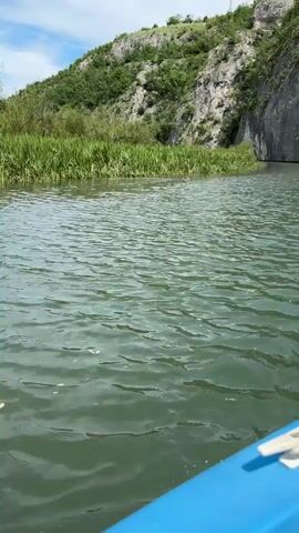 The video shows a lake with ripples on the water surface, with tall green grass growing along the edge of the water. A rocky, tree-covered hillside rises in the background. The camera appears to be on a boat, and the bow of the boat is visible in the lower right corner of the frame.  A group of ducks is swimming in the water, close to the grassy edge.