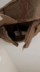 Ceiling collapse damages building in Newburgh, New York