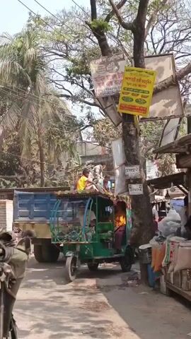 The video shows a street scene in what appears to be a small town in Bangladesh or a similar South Asian country. Several motorized tricycles, commonly called "easy bikes" or "tomtoms", are visible. The tricycles are decorated with bright colors and various embellishments. Some people are riding inside the tricycles, while others are standing or walking nearby. The street is narrow, with shops or stalls lining one side. A large tree stands prominently, covered with multiple signs in Bangla. The weather appears to be sunny and clear. The camera appears to be hand-held, offering a first-person perspective of someone walking down the street. There are other vehicles, including a truck, parked or passing through the scene.