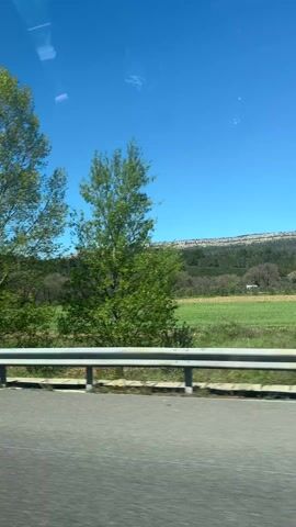The video shows a roadside view from a moving vehicle. Outside the car window, there's a guardrail, a stretch of asphalt road, and beyond that, green fields with various trees. The trees differ in foliage; some have full green leaves, while others appear bare. In the distance, there's a slightly elevated landscape. The sky is a bright, clear blue. The camera is positioned inside a vehicle moving along the road, capturing the scenery passing by.