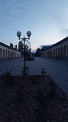 Summer evening in Kirsanov: flowers, cats, and the town square