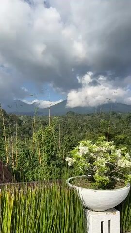 The video shows a balcony view of a lush green landscape with mountains in the background. The sky is cloudy, with patches of blue visible. In the foreground, there is a potted plant with white flowers, and to the left, there are tall, thin reeds. Further back, there are bamboo stalks and dense foliage covering the hills. A tiled roof of a building is visible on the left side of the frame.