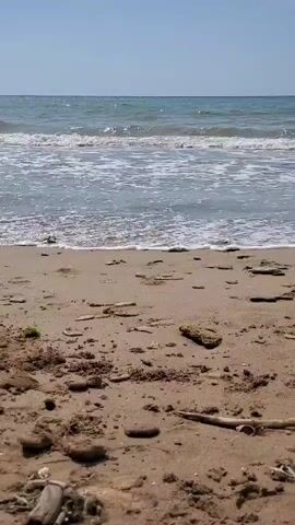 The video shows a close-up view of a sandy beach with gentle waves lapping at the shore. The sand is a light brown color and appears to be a mixture of fine sand and small pebbles. There are a few pieces of driftwood scattered on the sand, as well as some dried seaweed. The ocean water is a clear blue-green, and small white-capped waves are rolling in. The sky above is a pale blue and appears to be clear. The video is shot from a low angle, looking out towards the ocean.