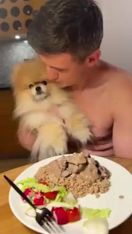 A man without a shirt is holding a small, fluffy, light brown dog. The dog is looking to the left. The man is looking at the dog. In front of them is a white plate on a wooden table. On the plate is a salad with lettuce, radishes, and tomatoes, as well as a pile of buckwheat groats topped with a beef stroganoff-like sauce. A black fork is lying on the plate. In the background is a kitchen with light brown cabinets.