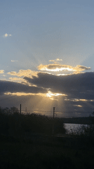 Sunset and puppy petting captured in Smolino, Russia