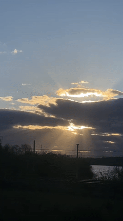 Sunset and puppy petting captured in Smolino, Russia