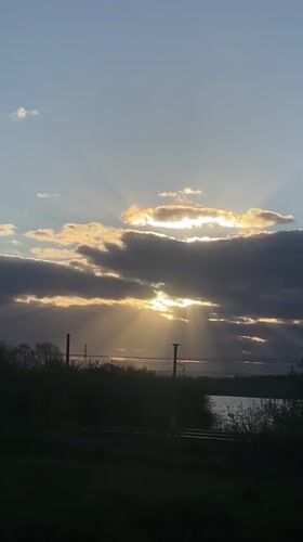 Sunset and puppy petting captured in Smolino, Russia