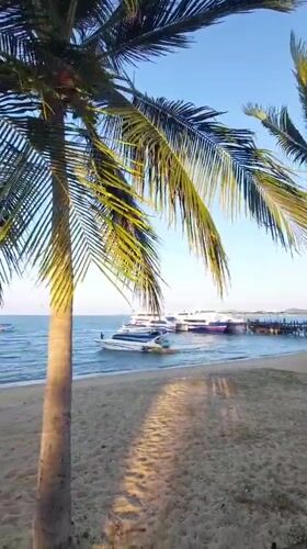 Palm-lined beach scene documented in Baan Mae Nam, Thailand