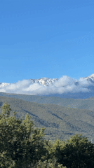 Morning nature documentation in French Catalonia mountains near Rodès