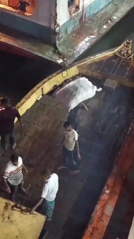The video shows several people on a boat at night. At the beginning, four people are visible on the deck of a boat, one carrying a large white bag. The camera then pans to show another boat with two people sitting on it. Finally, the camera pans up to show another boat with three people sitting on a bench, seemingly looking at a phone. The environment appears to be a dark harbor with water surrounding the boats.