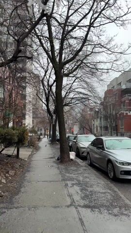 The camera is positioned on a sidewalk of a city street, capturing a long view down the length of the sidewalk. Buildings and parked cars line both sides of the street, and bare trees stand between the sidewalk and the cars. The sky is overcast, and the sidewalk appears damp, possibly from recent rain or melting snow. A few individuals are seen walking in the distance. The overall tone of the scene is somber and quiet.