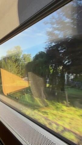 The video shows a view from a train window as it travels through a rural landscape. The window is dirty, and there are reflections on it, obscuring the view at times. Outside the window, there are trees, grass, and a blue sky with some clouds. In one frame, a white house with a balcony is visible among the trees, and a flagpole stands nearby. The train appears to be moving at a moderate speed, indicated by the blurring of the scenery. The lighting suggests it is daytime, possibly late afternoon or early morning due to the angle of the sun. The overall impression is one of peaceful travel through a green, natural environment.