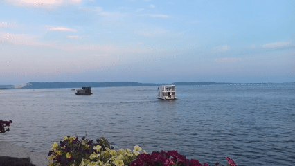 Sunset over calm water with flowers in Tolyatti
