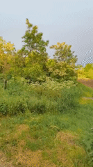 Rainbow appears over Ukrainian countryside in early morning hours