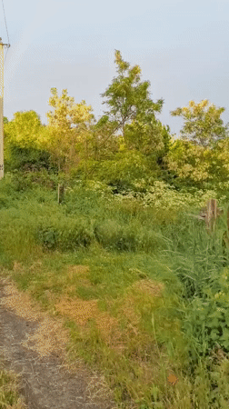 Rainbow appears over Ukrainian countryside in early morning hours