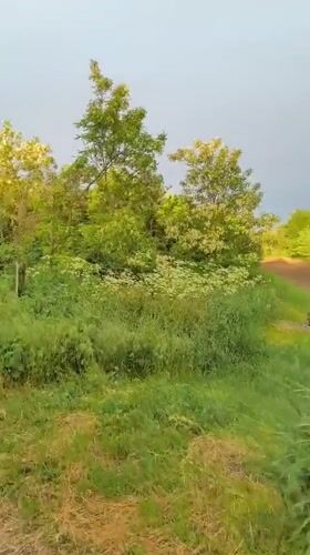 Rainbow appears over Ukrainian countryside in early morning hours