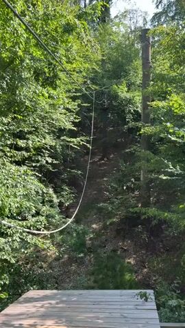 A zipline course is shown in a wooded area. A wooden platform is visible in the foreground, and a thick white cable stretches from the platform up into the trees. The cable is supported by poles and trees throughout the course. The surrounding area is densely covered in green foliage, with sunlight filtering through the leaves. The zipline appears to be set up on a slope, with the cable descending into the distance. There is no visible activity on the zipline itself.