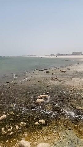 The camera, oriented vertically, faces a coastal scene. The sea is greenish and murky. A few small waves move on the surface. The beach is sandy and muddy, with scattered rocks of various sizes. In the distance, a line of buildings can be seen along the shore. The sky is overcast and pale blue.
