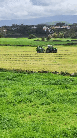 Tractor bales hay in fields near Ribeira Grande