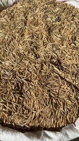 The video shows a series of bags filled with grains and ground feed. The first bag is filled with a light brown, straw-like grain. The next two bags are filled with a finer, beige colored ground feed. All bags are large and white with colored accents. The video is taken outside in bright sunlight.