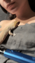 Person with gecko on chest observed in Khimki