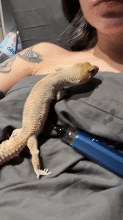 Person with gecko on chest observed in Khimki