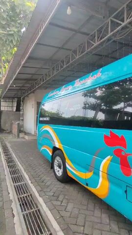 Here is a concise description of the video:

The video shows a light blue tour bus parked on a brick driveway under a corrugated metal awning. The bus has painted details including a yellow swirl and a red rooster on its side. "Wonderful Indonesia" is printed above the yellow swirl. The bus has tinted windows and chrome hubcaps. The setting is outdoors, possibly a parking area or a residential driveway.