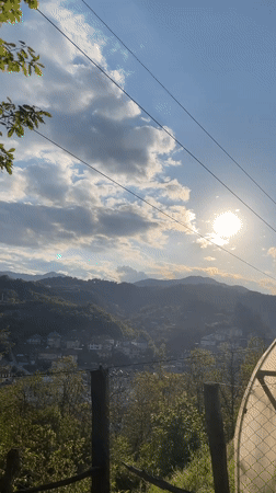 Person plays with dogs and kittens on Bulgarian hillside