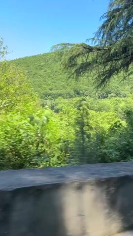 The video shows a bright daytime view from a moving vehicle, revealing a lush green landscape in Achadara, Abkhazia. Tall trees and dense foliage dominate the foreground and midground, with a clear blue sky visible overhead. A distant, tree-covered hillside forms the backdrop. In the initial frames, a concrete barrier or road edge is visible in the lower part of the frame. The camera pans across the verdant scenery, showcasing various shades of green and the natural beauty of the area as it passes by. No people or text are visible.