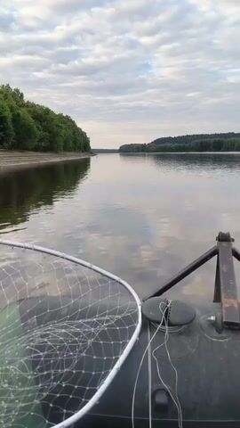 The video begins with a first-person perspective from a boat on a calm body of water. In the foreground, the edge of the inflatable boat is visible, along with a fishing net resting on it. Beyond the boat, the water stretches out to meet a treelined shore on the left and a more distant, forested horizon. The sky above is partly cloudy, with a soft, diffused light suggesting it is either early morning or late afternoon. The boat appears to be moving slowly, indicated by the gentle ripples on the water's surface. The scene is serene and natural, suggesting a peaceful outdoor activity like fishing or leisurely boating.