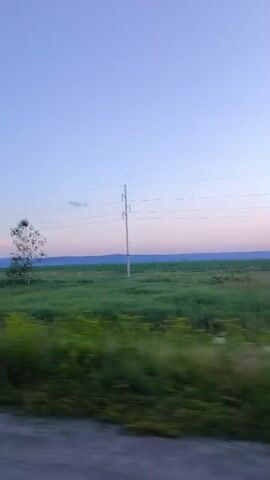 The video shows a landscape from a moving vehicle. The sky is clear with a light gradient of blue and pink, suggesting it is either dawn or dusk. In the foreground, there is a blurred impression of greenery, likely trees or bushes, indicating motion. The middle ground features a vast, flat green field. A single tall, thin tree stands in the field. Power lines stretch across the scene, supported by a utility pole. Further in the distance, a faint line of hills or mountains is visible on the horizon. A large billboard with text is seen in the middle ground. Near the end of the video, a blue road sign with multiple directional arrows and text becomes visible. The overall impression is of a rural or semi-rural setting during twilight.
