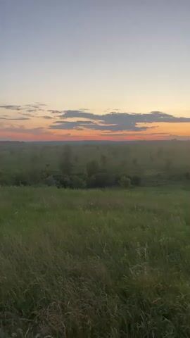 This is a vertical, handheld video of a rural landscape at dusk. The sky is a gradient of warm colors, transitioning from a pale yellow at the top to a vibrant orange and pink band just above the horizon, with some scattered grey clouds. Below the sky, the landscape is a rolling green expanse of fields and scattered trees. The foreground is dominated by tall, green grass, with some yellow wildflowers visible. In the middle ground, the terrain slopes downwards, revealing more fields and clusters of trees, some of which appear to be young or sparsely leaved. In the far distance, the horizon is marked by a faint line of trees and subtle, indistinct structures that could be power line poles. The overall atmosphere is peaceful and serene, characteristic of a sunset in the countryside. There are no people or animals visible in the video. The camera is relatively stationary, with only minor shake consistent with handheld recording. The lighting suggests it is either sunrise or sunset, but the colors are more typical of sunset.