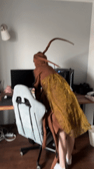 Person in cockroach costume spotted dancing in Saint Petersburg