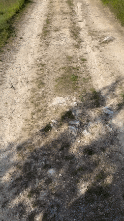 Daily life documented in Panagyurishte: work, nature, home