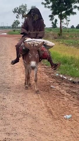A man dressed in a brown robe and head covering rides a donkey along a dirt road. The donkey is loaded with sacks and other items strapped to its back. The man's legs are visible, and he appears to be looking forward. The donkey is walking towards the camera. The environment is rural, with fields and trees visible in the background. The road is dusty, and there is some debris on the side of the road. The sky is overcast.