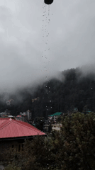 Rainy morning scenes from a quiet Bhagsu guesthouse